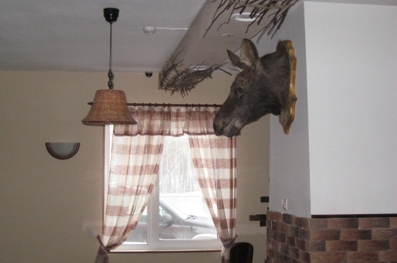 Мотель Камил, Дзержинск, Нижний Новгород. Фото 09