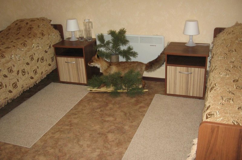 Мотель Камил, Дзержинск, Нижний Новгород. Фото 10